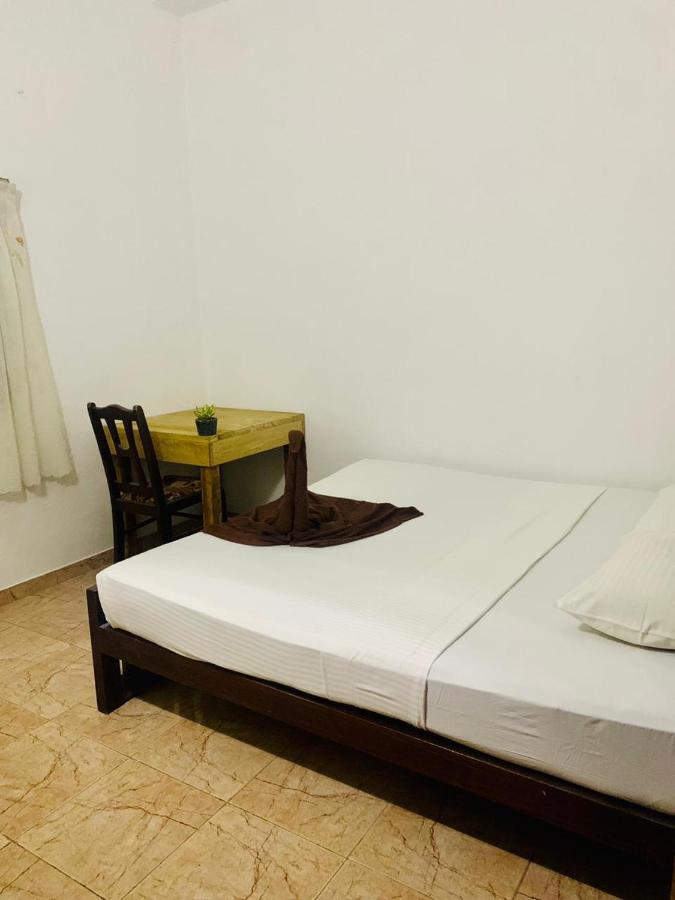 Dreamy Surf House Hotel Weligama Ngoại thất bức ảnh