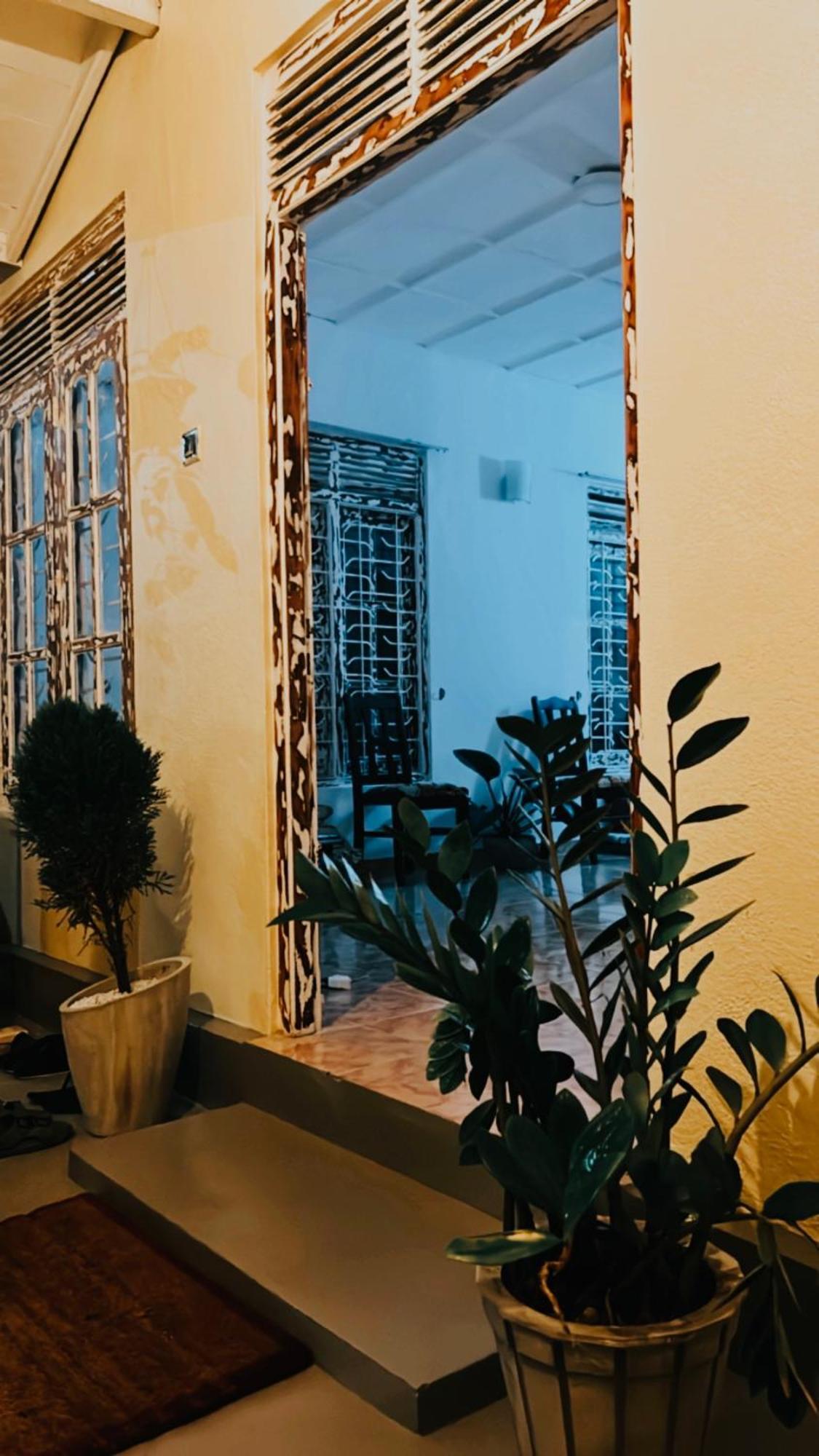 Dreamy Surf House Hotel Weligama Ngoại thất bức ảnh